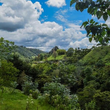 Hostal Rural La Montana Alquiyapura Salento Kültér fotó