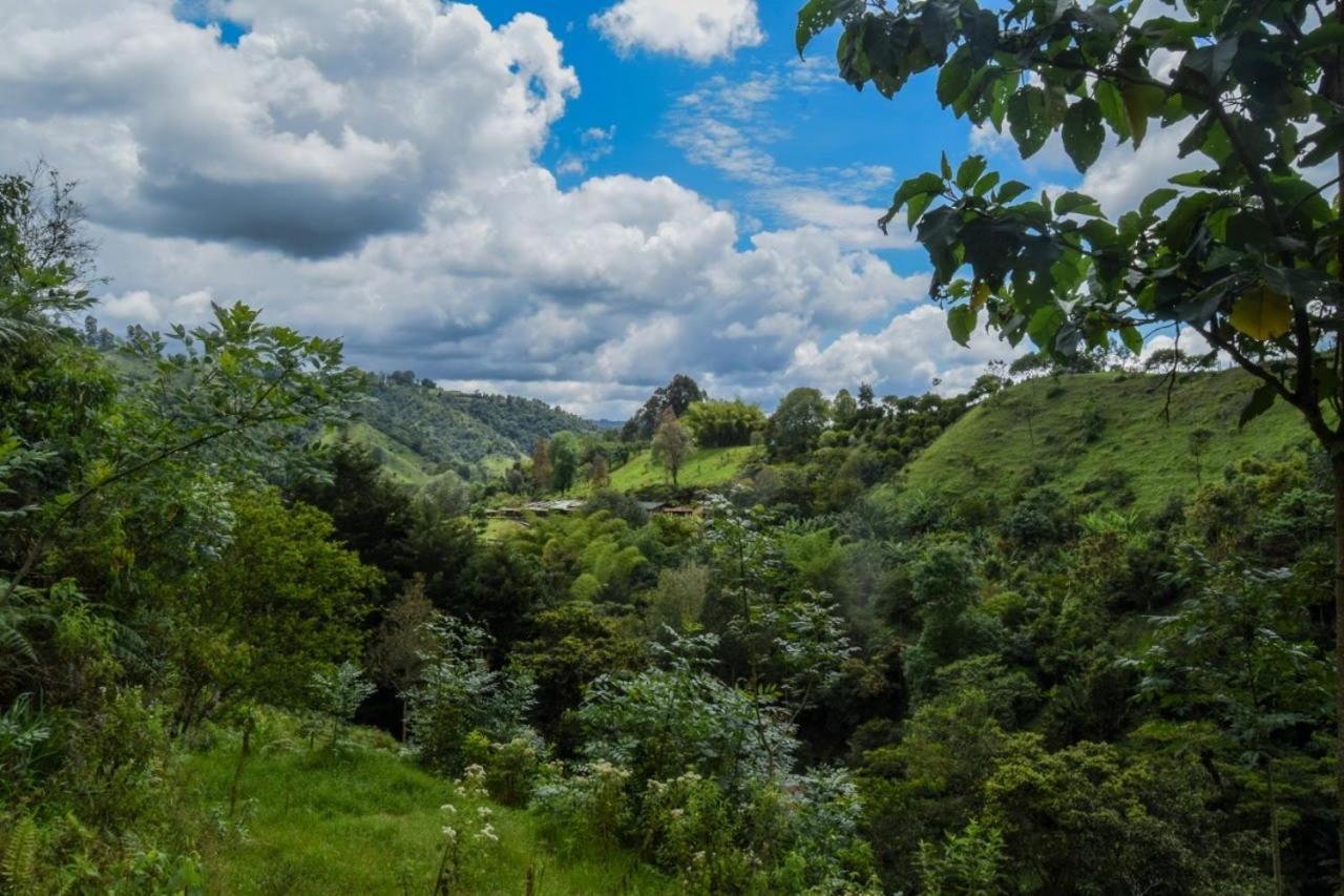 Hostal Rural La Montana Alquiyapura Salento Kültér fotó